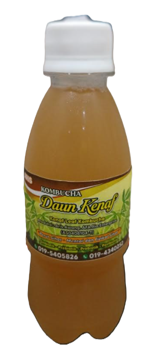 KOMBUCHA  DAUN KENAF